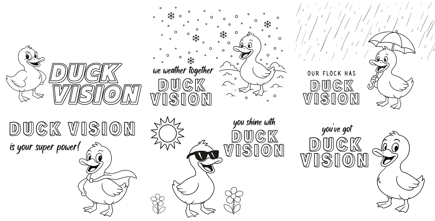 Six card covers showing various images of ducks; text reads DUCK VISION on each