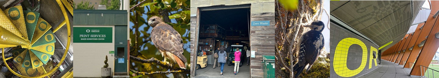 Six images from 2025 tours: Central Power Station, Print Services, red-tailed hawk, Zero Waste, downy woodpecker, Hayward Field