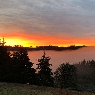 Beautiful sunrise behind a hill with clouds, fog bank, and trees visible