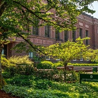 Knight Library main entrance with trees and sign