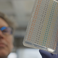 Scientist in wearing glasses and surgical gloves looks at a sample 